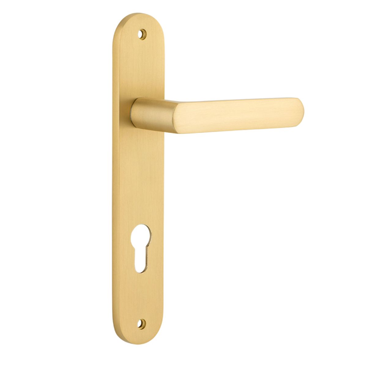 Osaka Lever - Rectangular Backplate