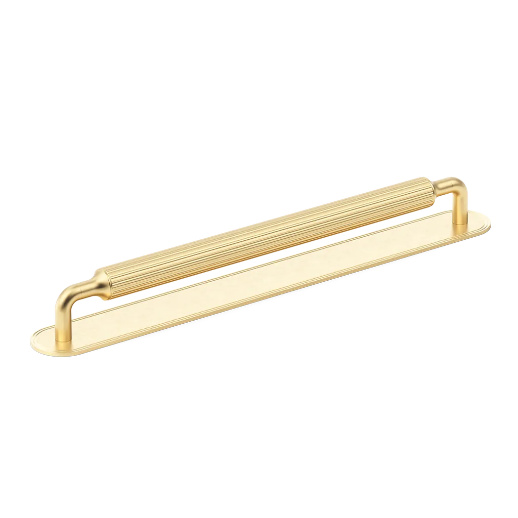 Barwick Ridged Appliance Pull with Backplate By Armac Martin