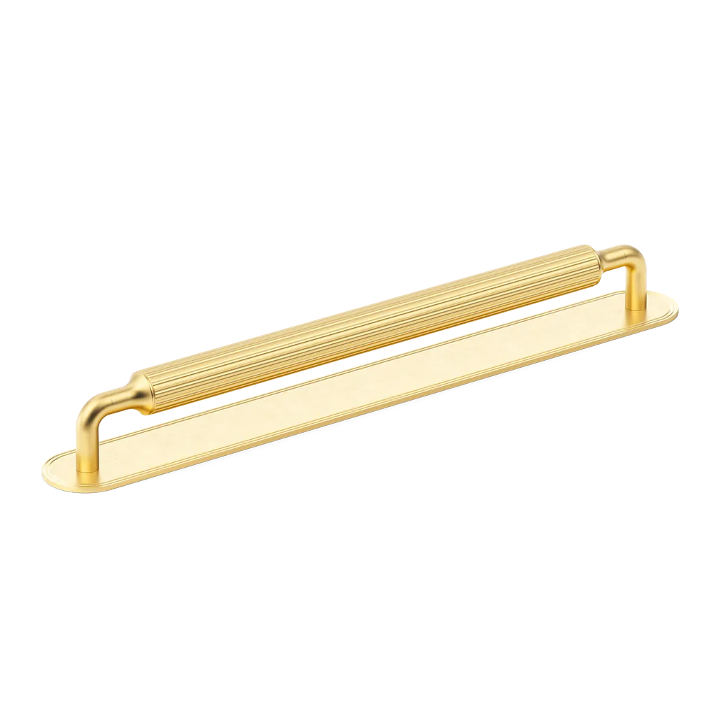 Barwick Ridged Appliance Pull with Backplate By Armac Martin